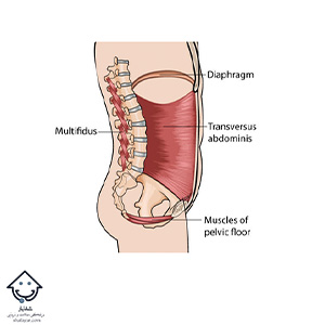 فیزیوتراپی کف لگن