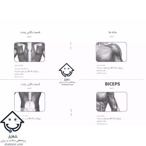 تصویر شانه ها، پشت و بازوها در مورد نحوه استفاده از ماساژور تفنگی سرد و گرم